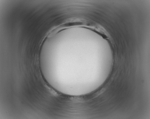 X0000081281089200702081946