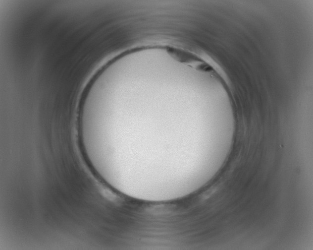 X0000081281093200702081946