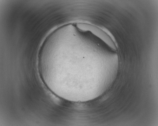 X0000081281096200702081946