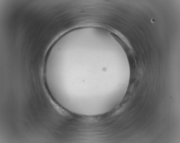 X0000081281101200702081946