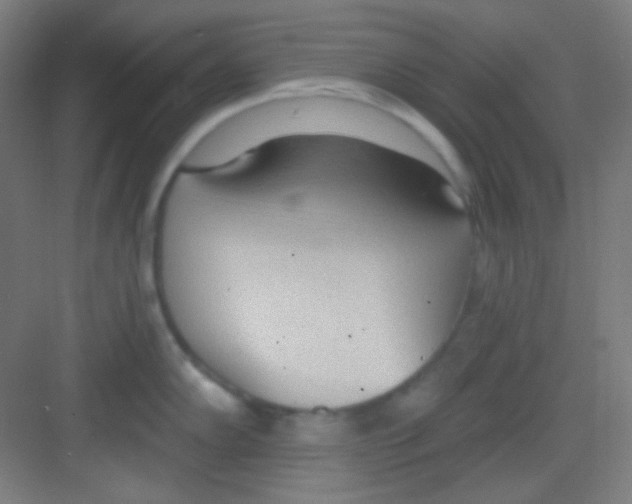 X0000081281102200702081946