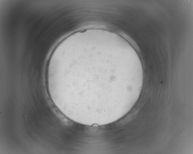 X0000081281104200702081946