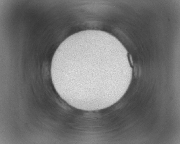 X0000081281107200702081945