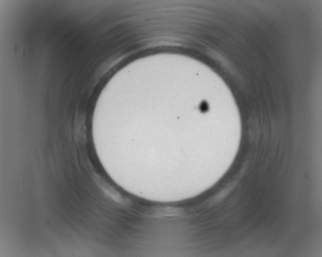 X0000081281113200702081945