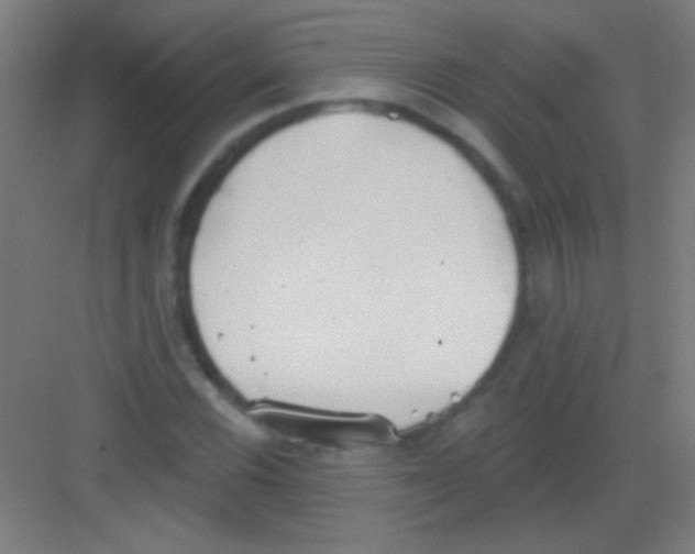 X0000081281116200702081945