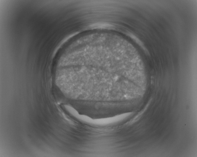 X0000081281117200702081945