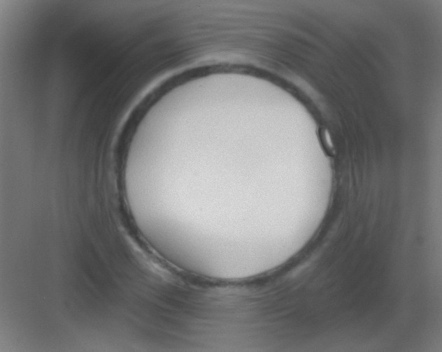 X0000081281118200702081945