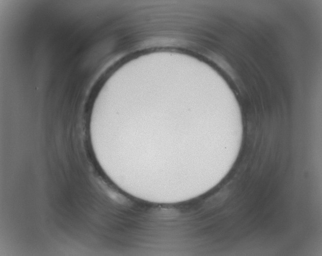 X0000081281119200702081945