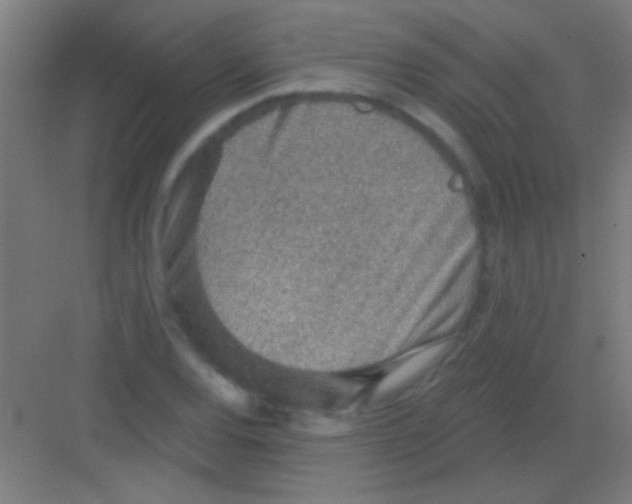 X0000081281120200702081945