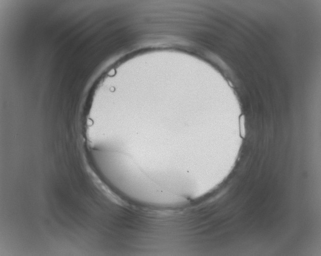 X0000081281122200702081945