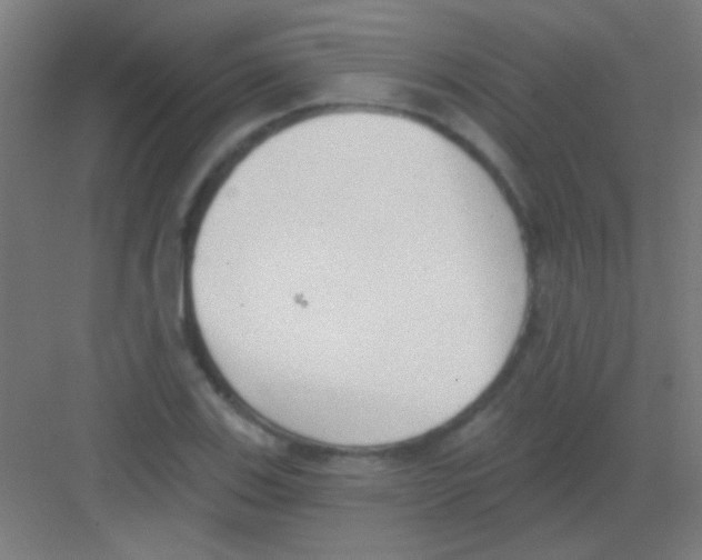 X0000081281123200702081946