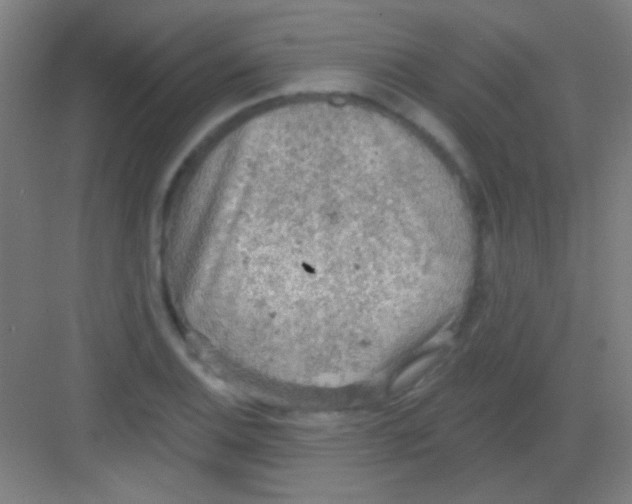 X0000081281124200702081946