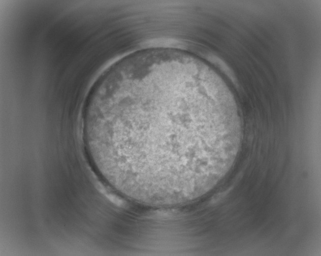 X0000081281125200702081946