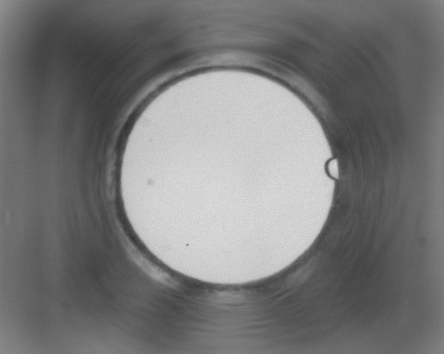 X0000081281126200702081946