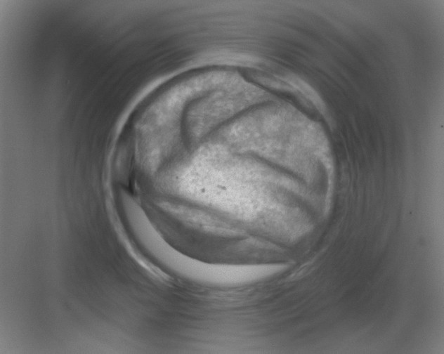 X0000081281128200702081946