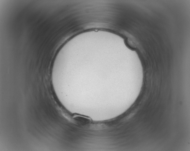 X0000081281129200702081946