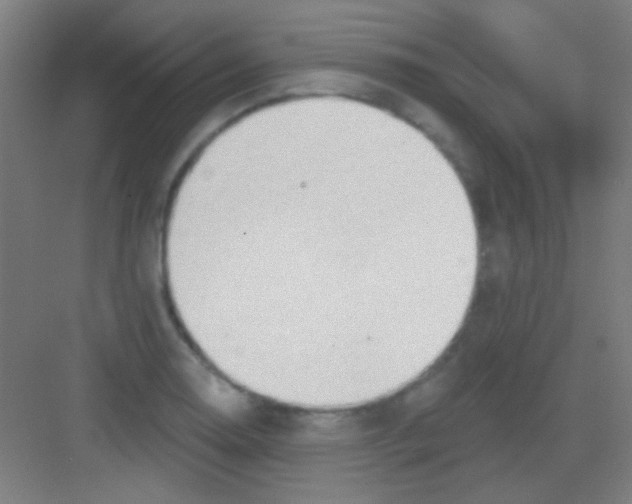 X0000081281130200702081946