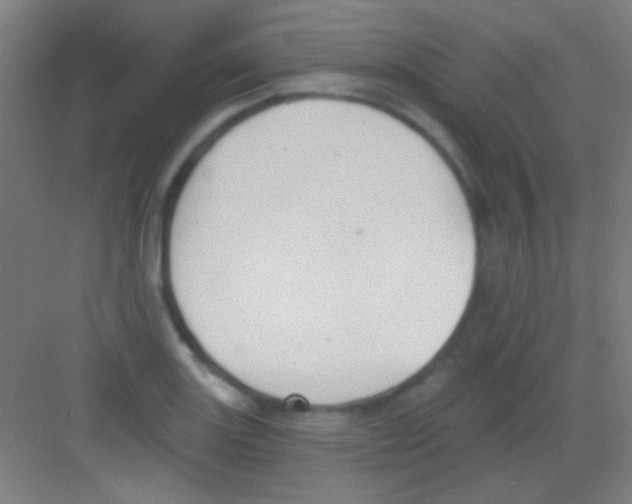 X0000081281131200702081946