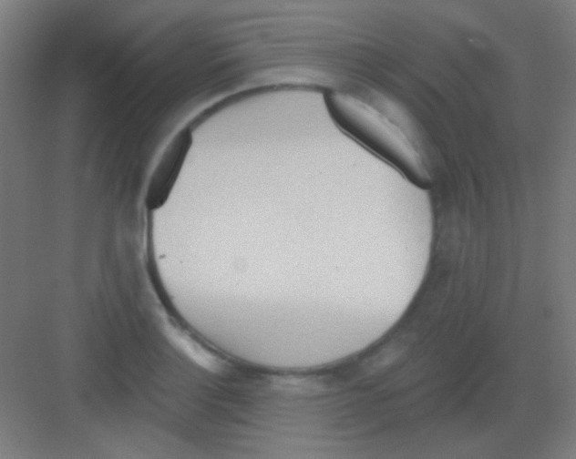 X0000081281132200702081946