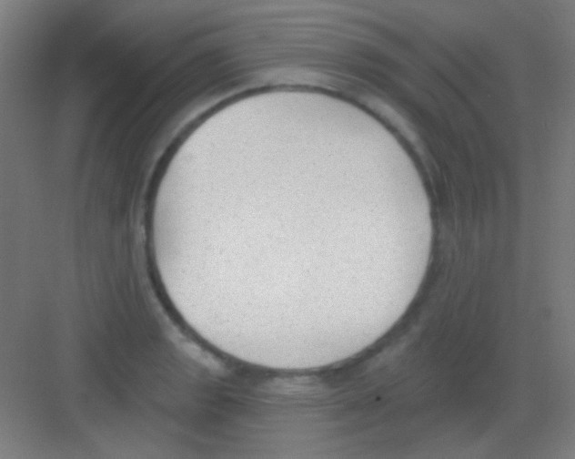 X0000081281133200702081946