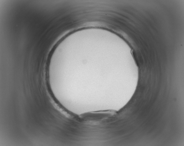 X0000081281134200702081946