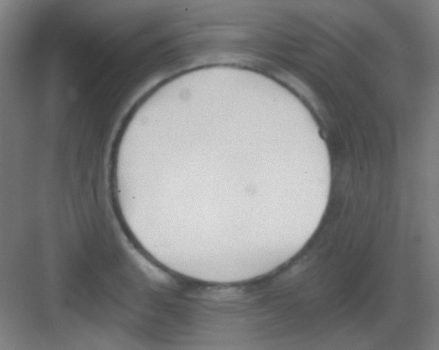 X0000081281135200702081946