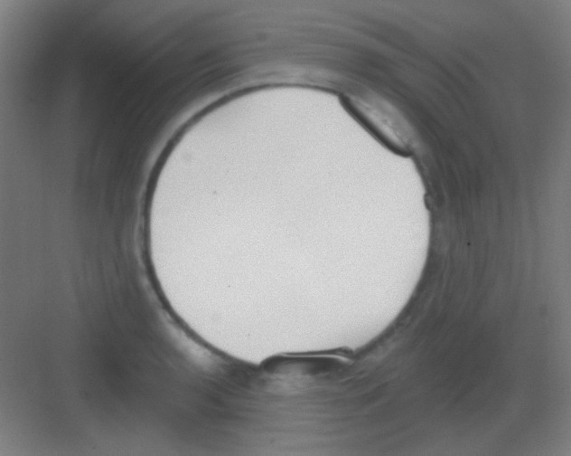 X0000081281136200702081946