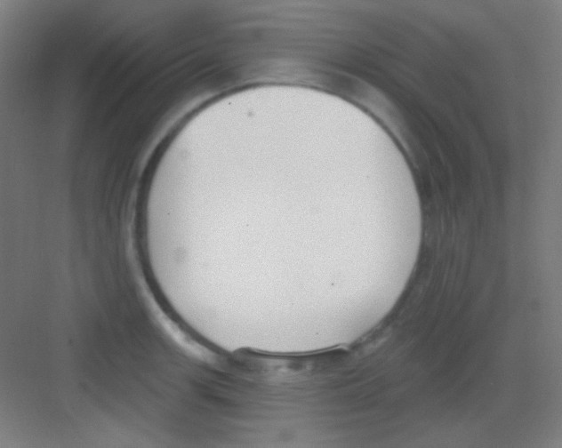 X0000081281139200702081946