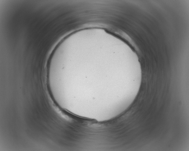 X0000081281140200702081946