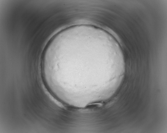 X0000081281142200702081946