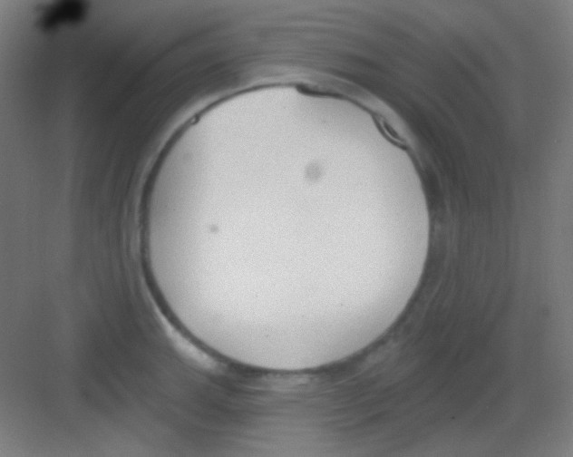 X0000081281143200702081946