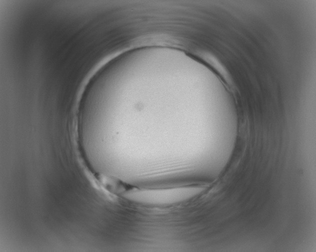 X0000081281144200702081946