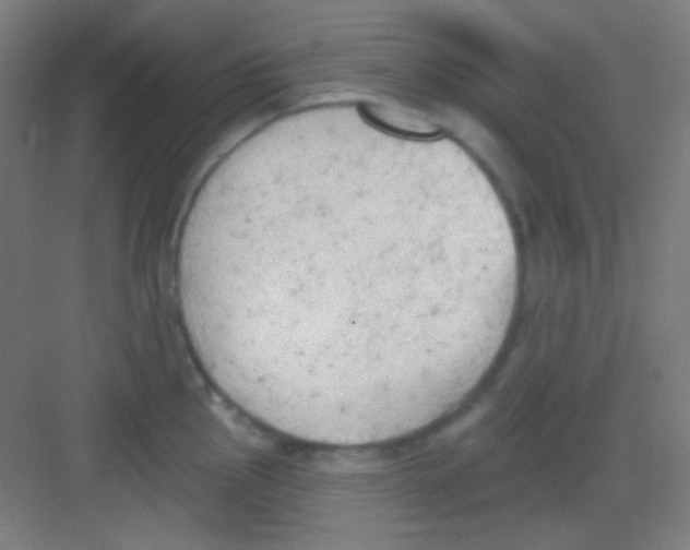 X0000081281145200702081946