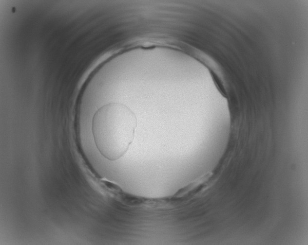 X0000081281146200702081946