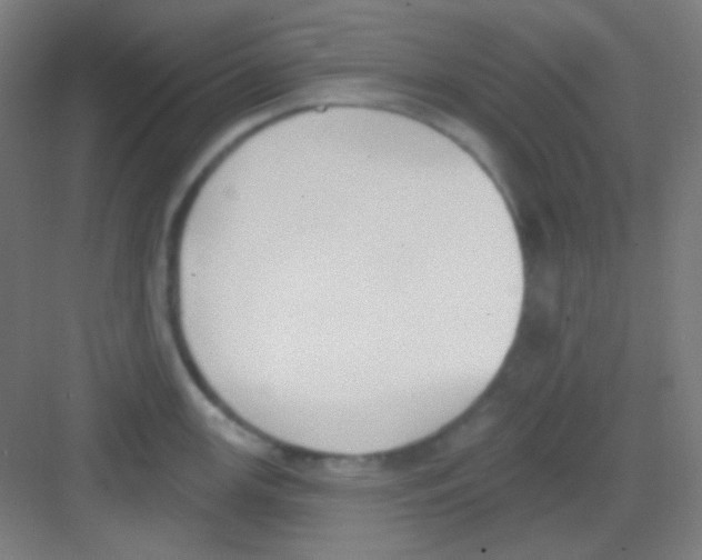 X0000081281147200702081946