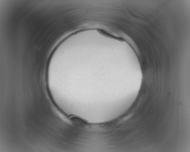 X0000081281149200702081946