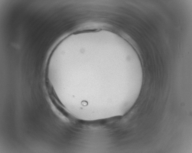 X0000081281152200702081946