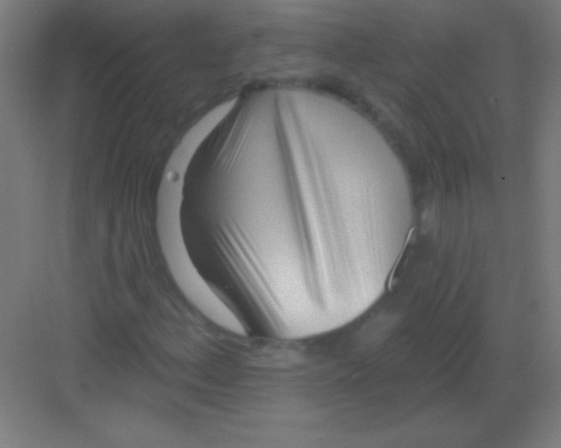 X0000081281156200702081945