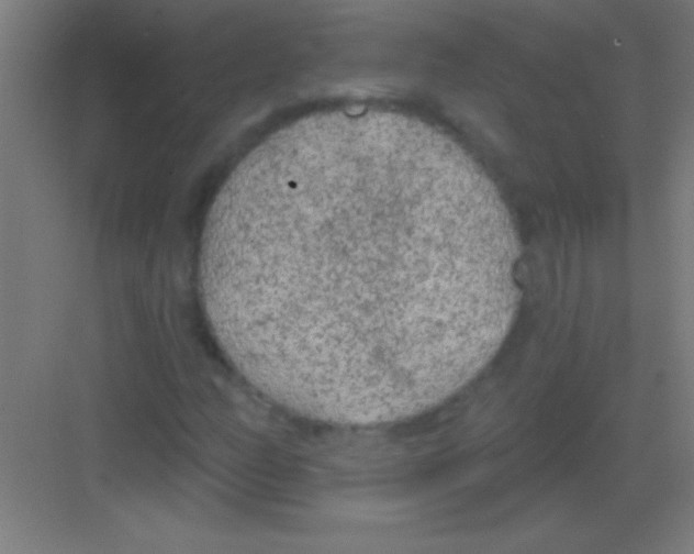 X0000081281158200702081945