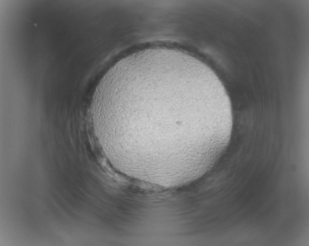 X0000081281159200702081945