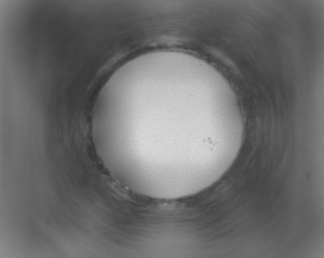 X0000081281160200702081945