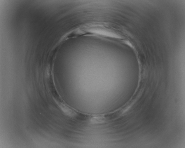 X0000081281161200702081945