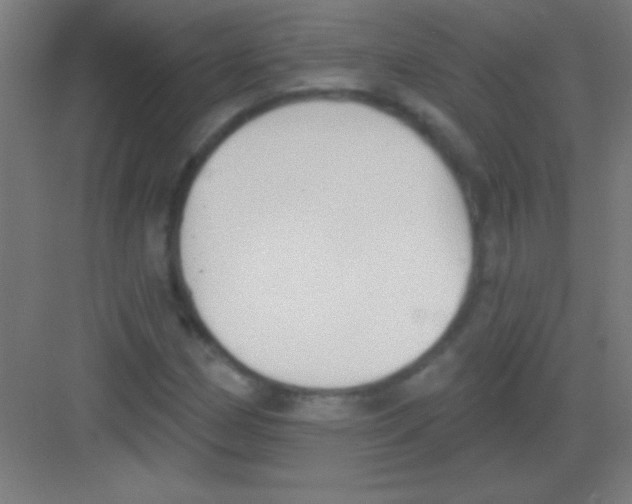 X0000081281162200702081945