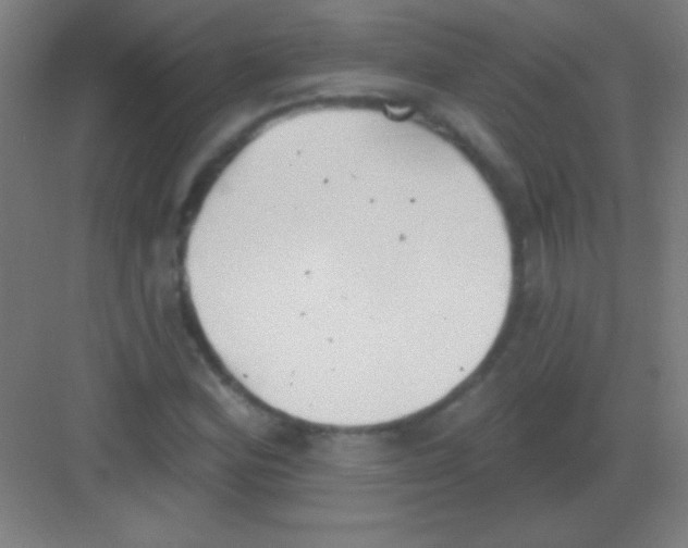 X0000081281164200702081945