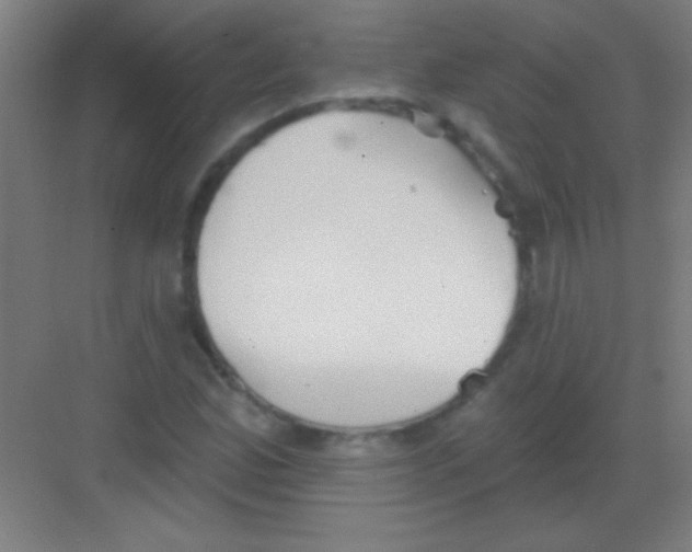 X0000081281165200702081945