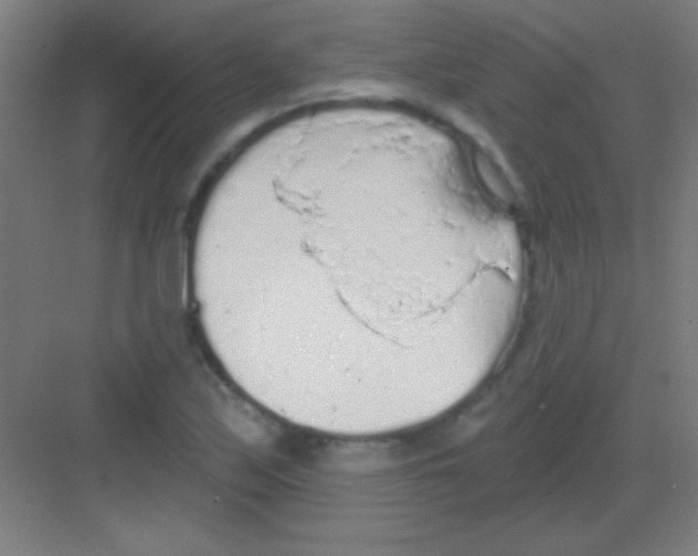 X0000081281171200702081945