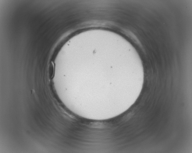 X0000081281172200702081945