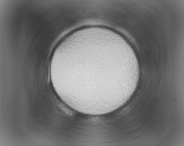 X0000081281175200702081945