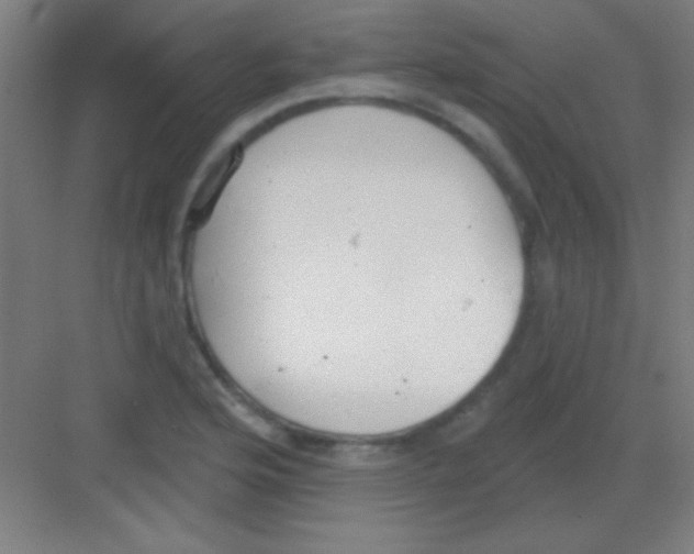 X0000081281176200702081945