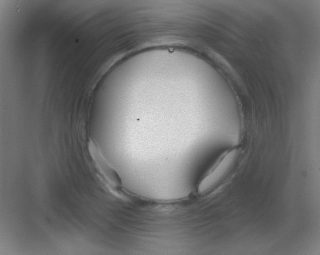 X0000081281177200702081945